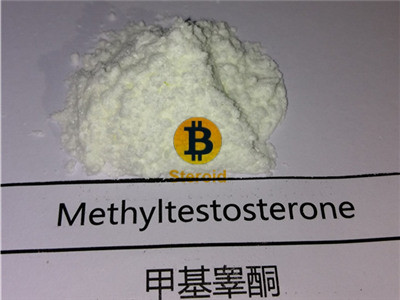 Methyltestosterone raw powder_bitcoin steroid powder