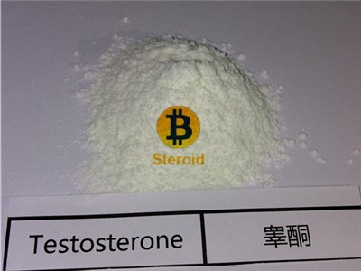 Testosterone Base | Testosterone No Ester Steroid Powder