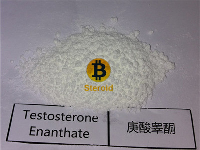 Testosterone Enanthate Powder Steroid Test E Quality Raws Source