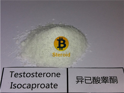 Testosterone isocaproate raw powder sustanon bitcoin steroid powder