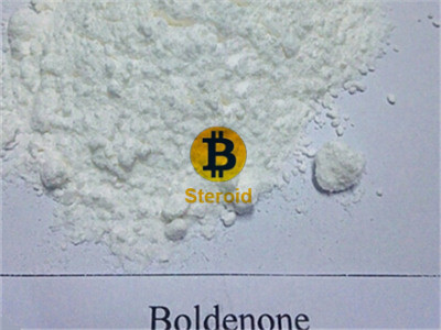 Boldenone No ester Boldenone Base Powder Equipoise Steroid Powder Bitcoin