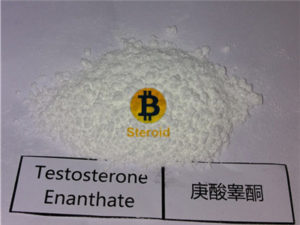 steroid testosterone enanthate raws