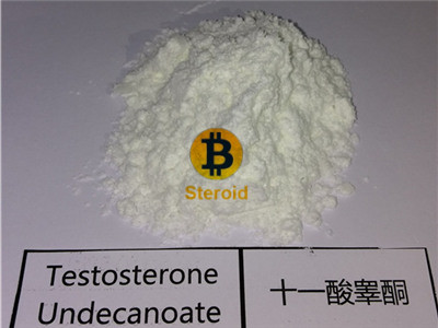 Testosterone Undecanoate Steroid Powder Andriol Nebido Testosterone Replacement Therapy